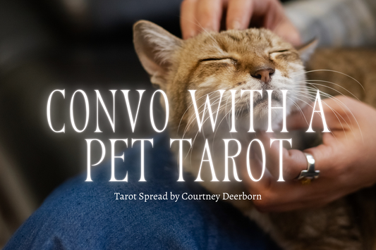 Conversation with a Pet Tarot Spread