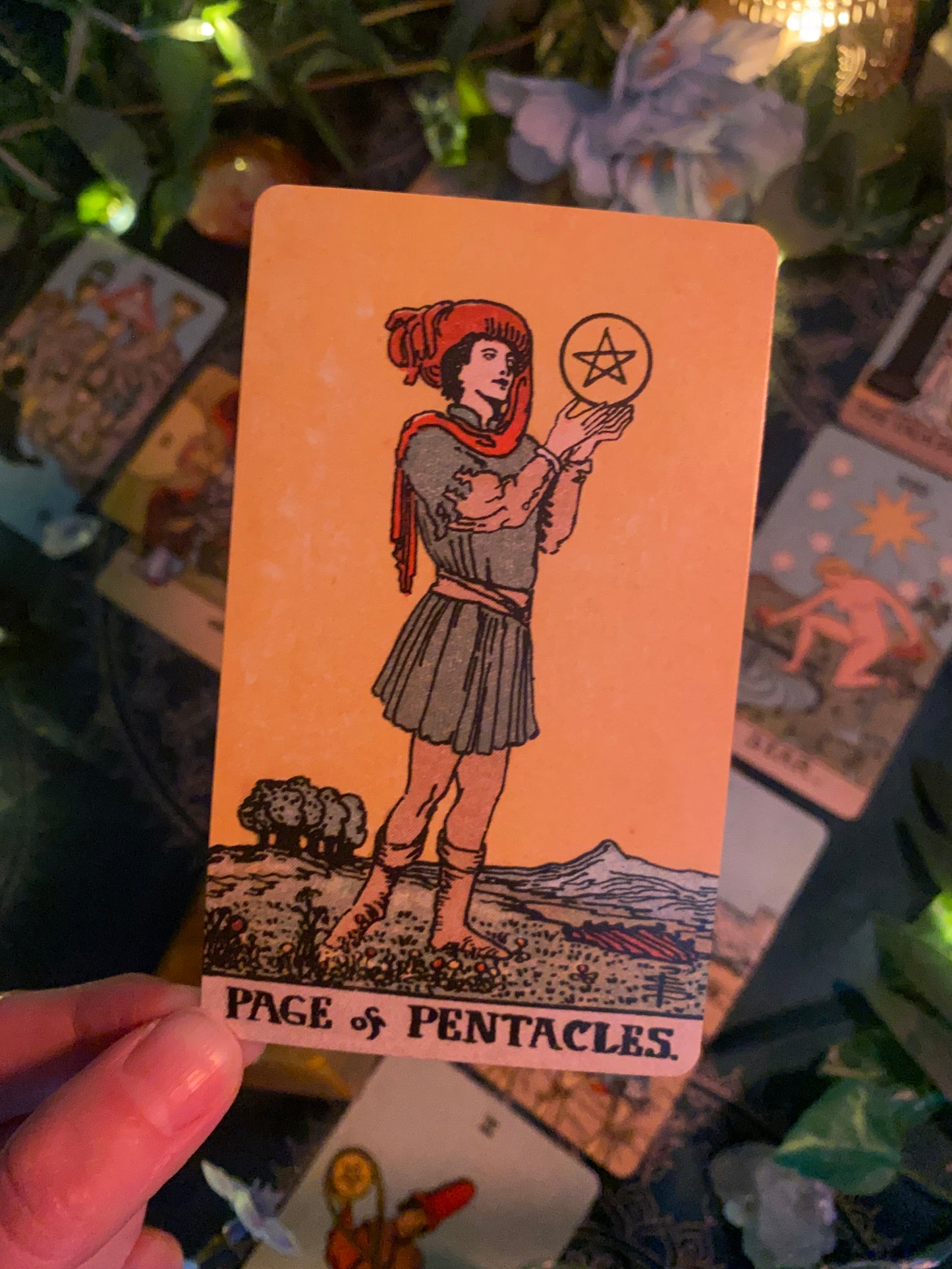 Tarot Spread Workshop at Moon Lady Plants