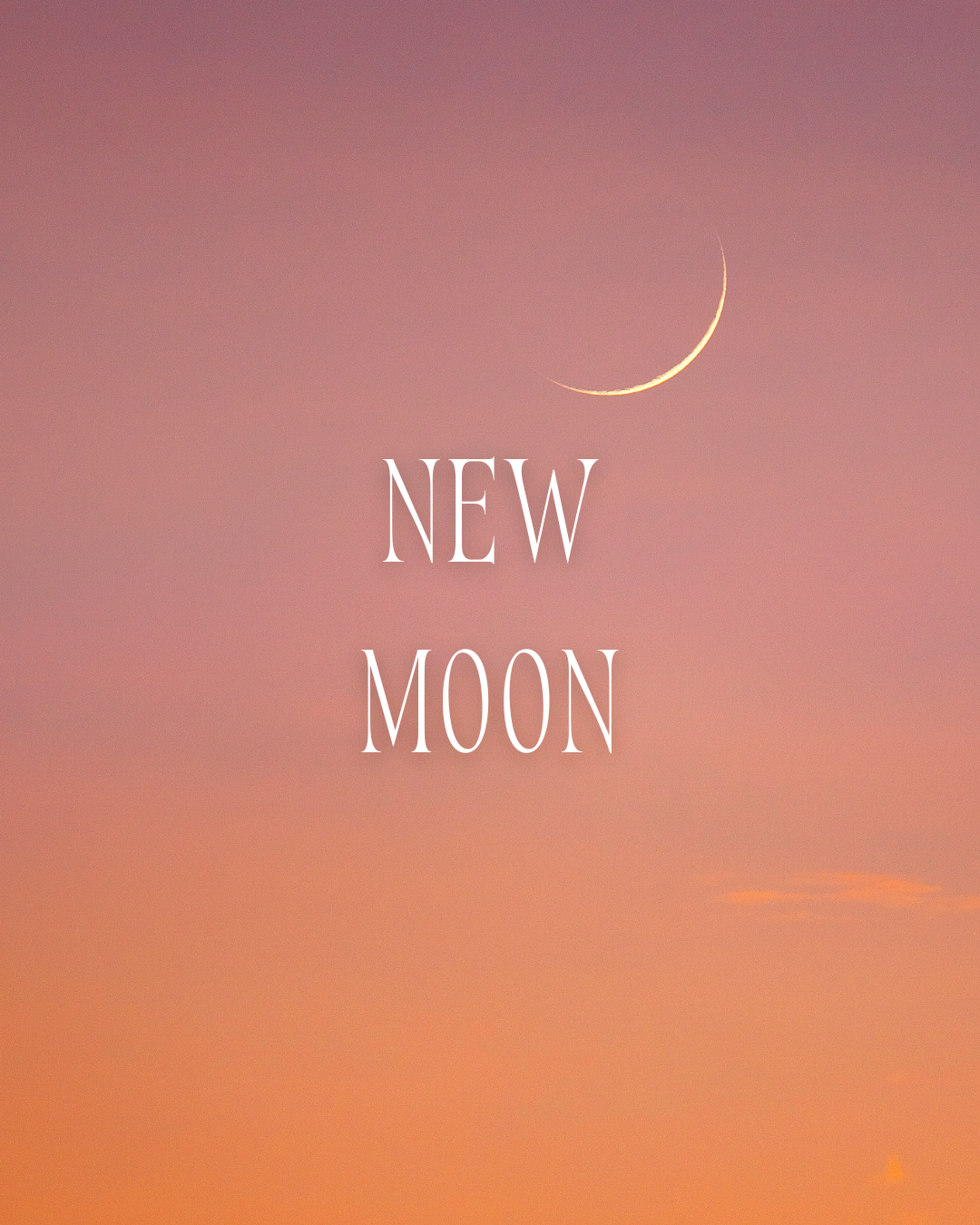 New Moon Tarot Reading