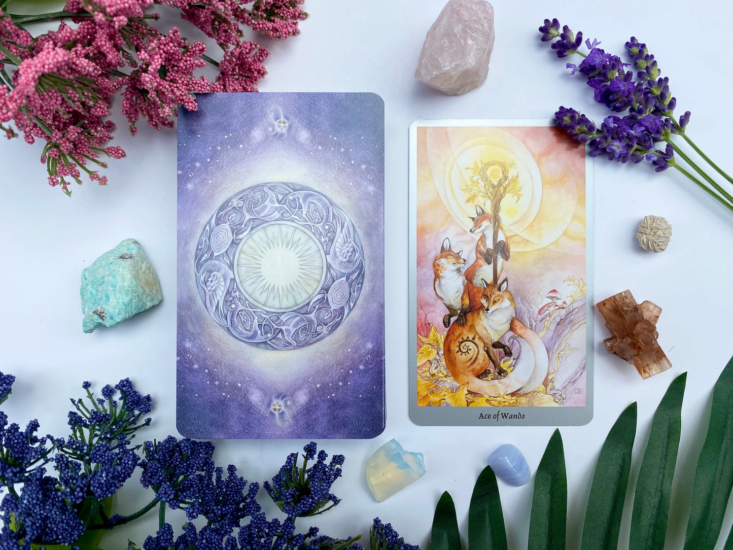 Tarot Follow-Up