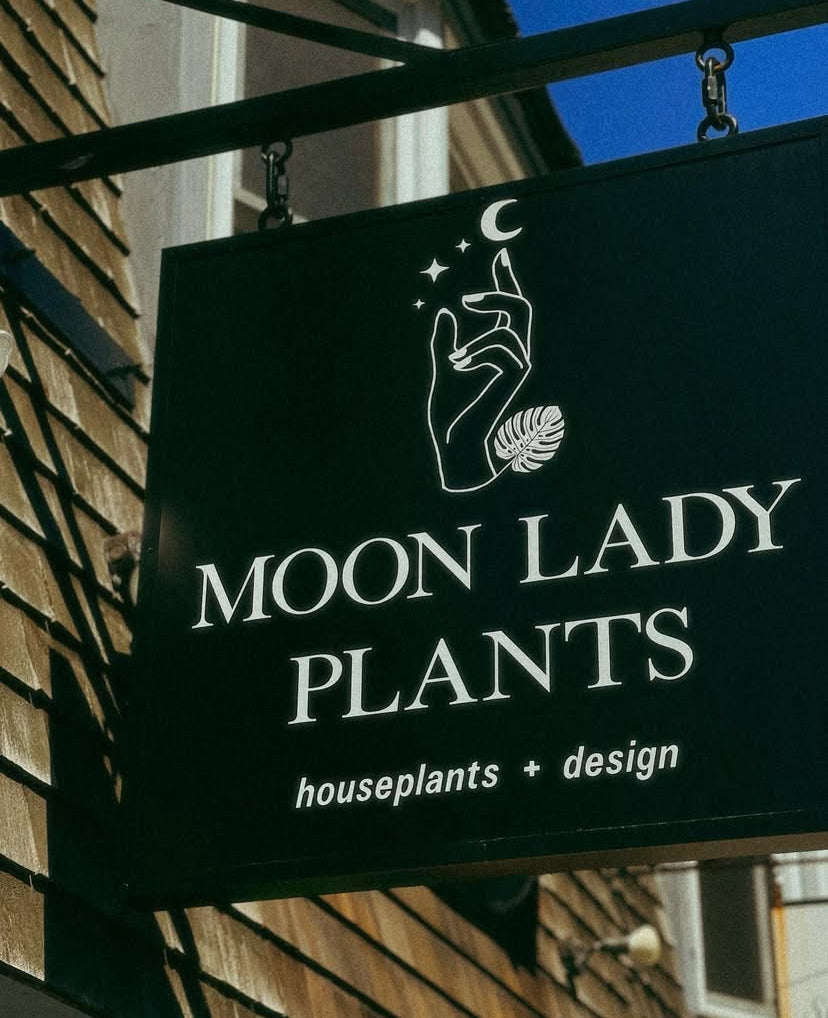 Aura Paintings / Tarot Readings at Moon Lady Plants