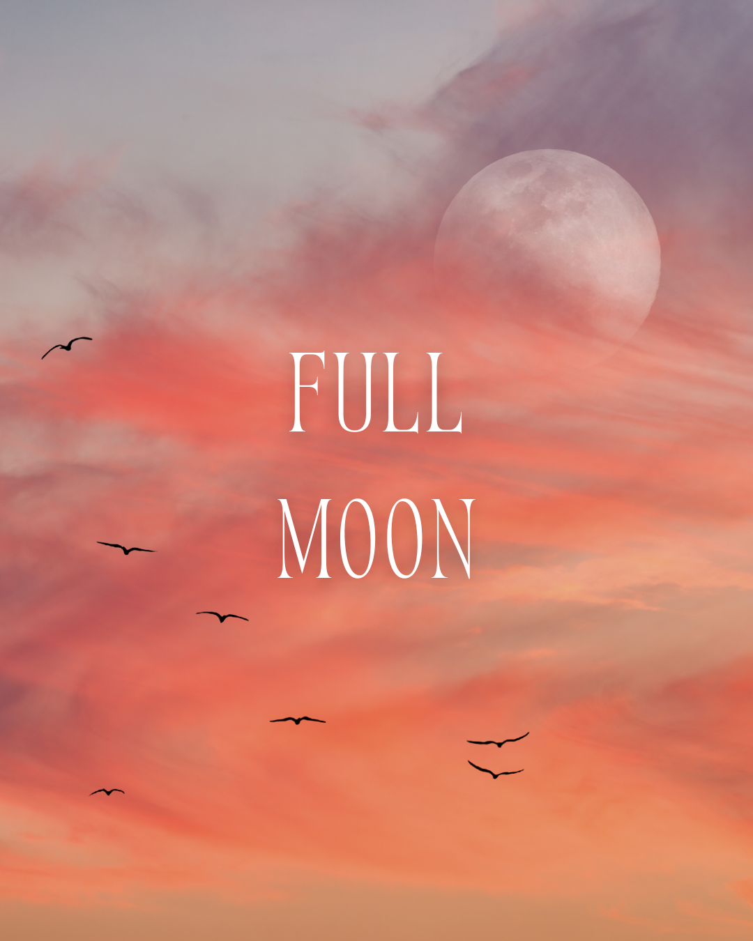 Full Moon Tarot Reading