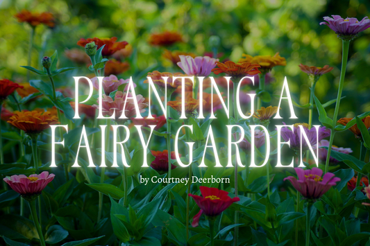 Planting A Fairy Garden