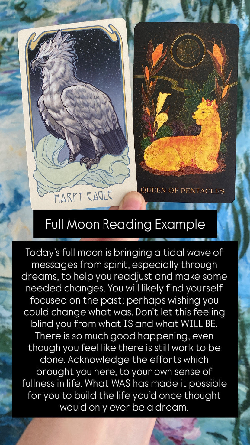 Full Moon 2 Card Special 10/6/25
