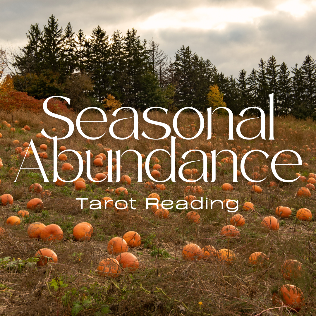 Abundance Tarot Reading