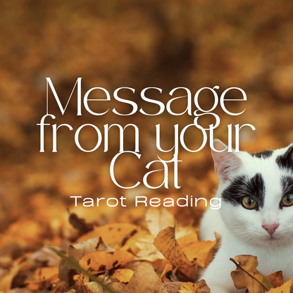 Message from your Cat