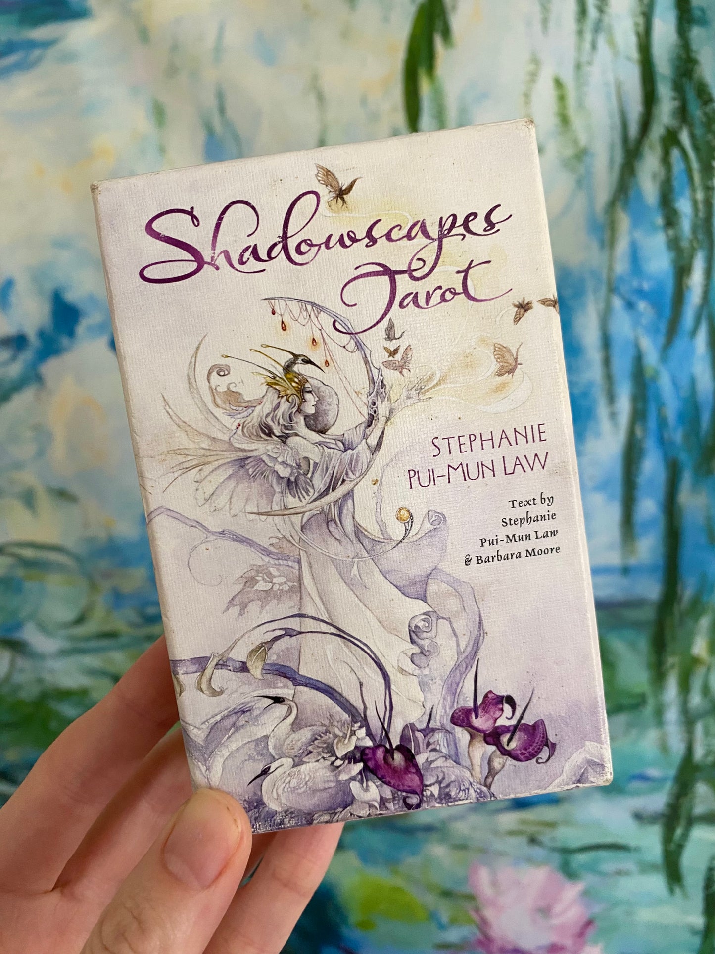 Quick Reading for the 6/15 New Moon