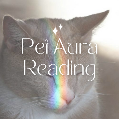 Pet Aura Reading